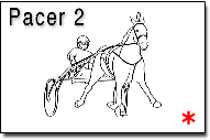 Pacer2