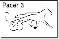 Pacer3